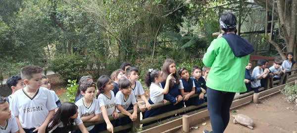 Bicho Mania 2022